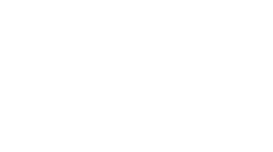 PROTAGONIST